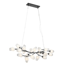  YS102C19BLK - Chandelier Black